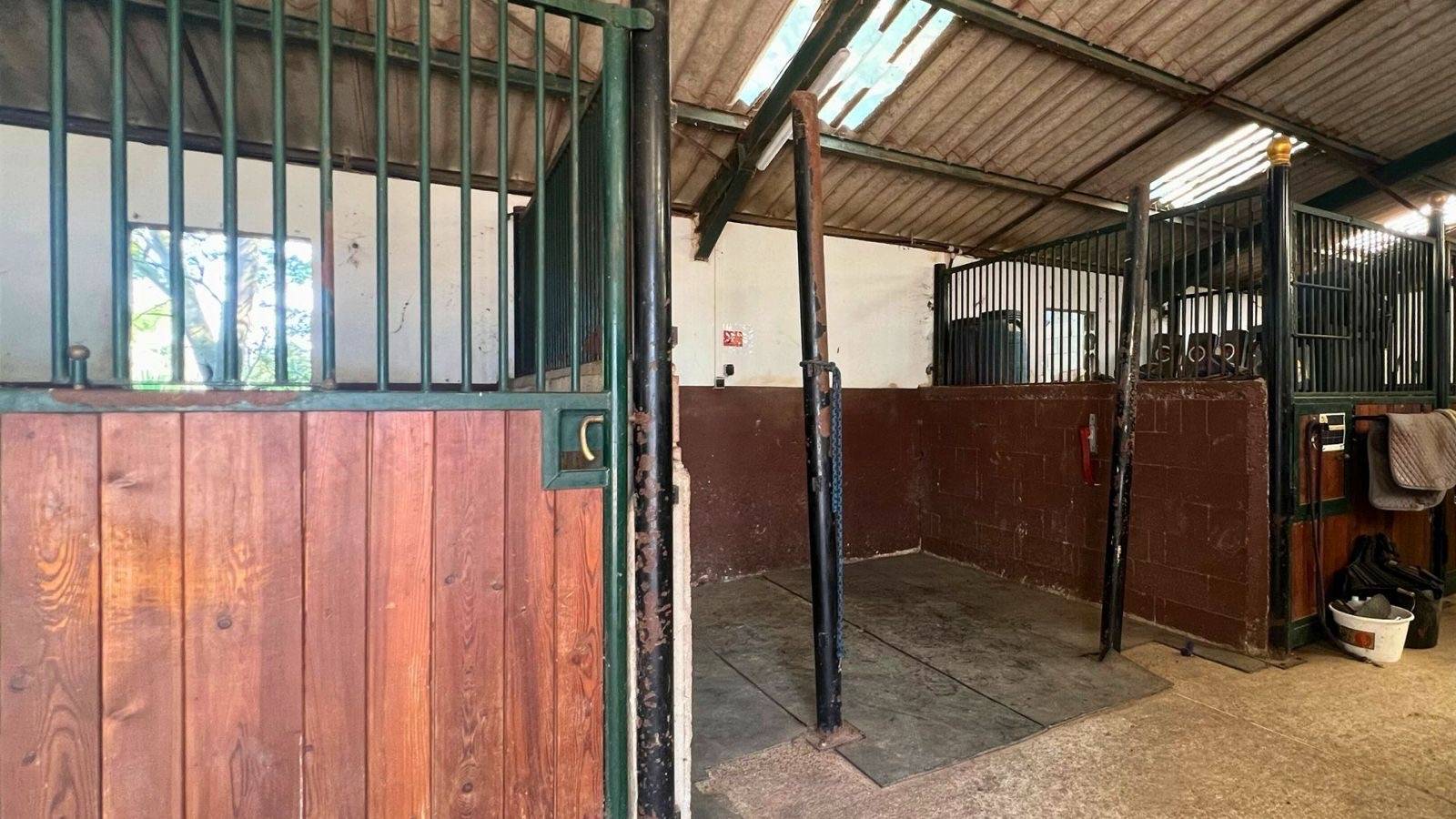 Structure équestre dans le Gard