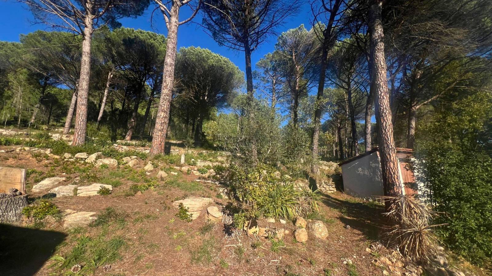 Propriété d’exception de 3ha en Provence Verte