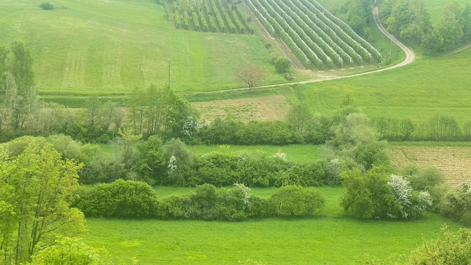 Propriété à vocation équestre de 10ha proche Moissac