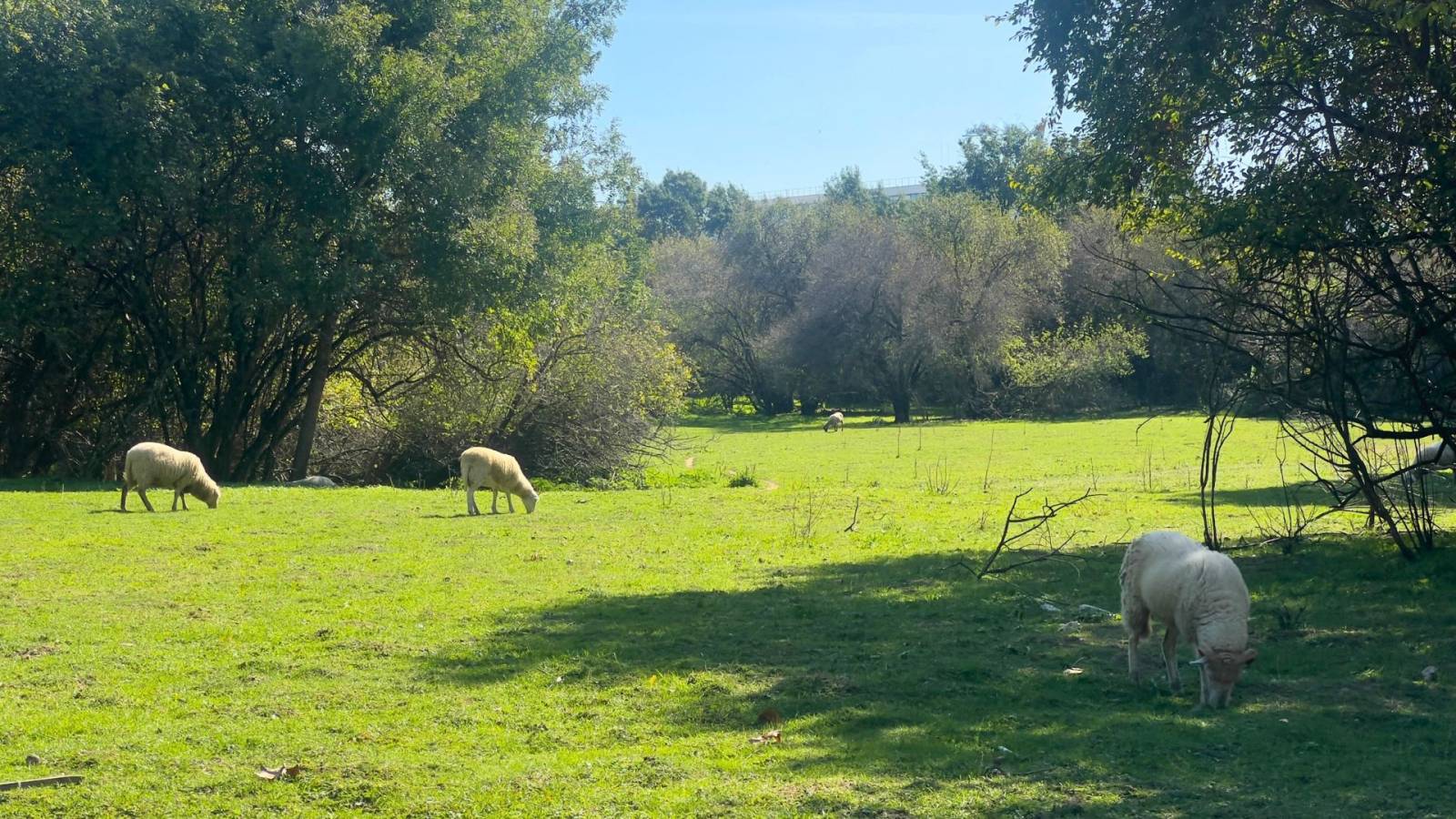Appartement de type 3 lumineux avec Terrasse à Toulouse 