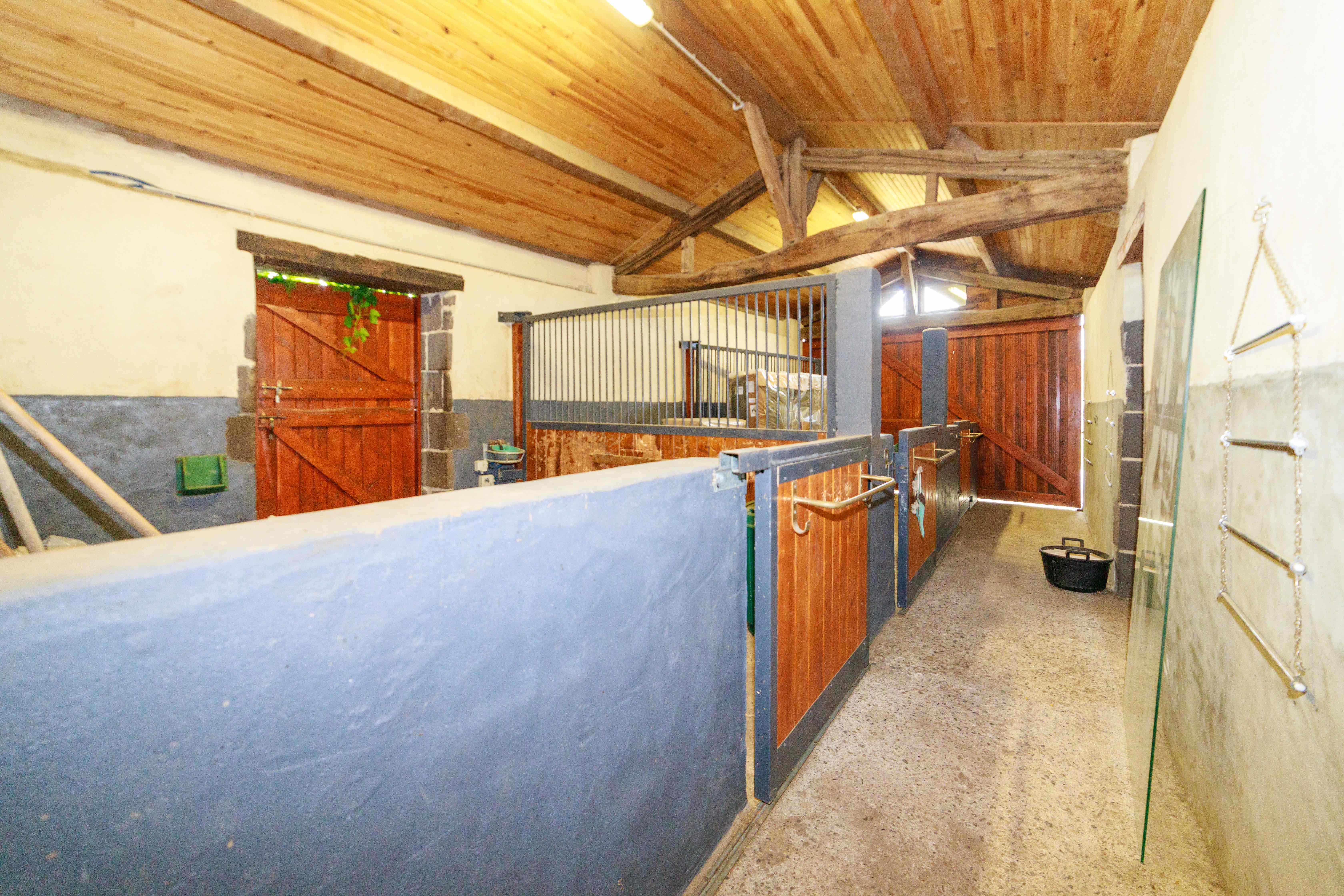 Propriété de 4 hectares Puy-de-Dôme