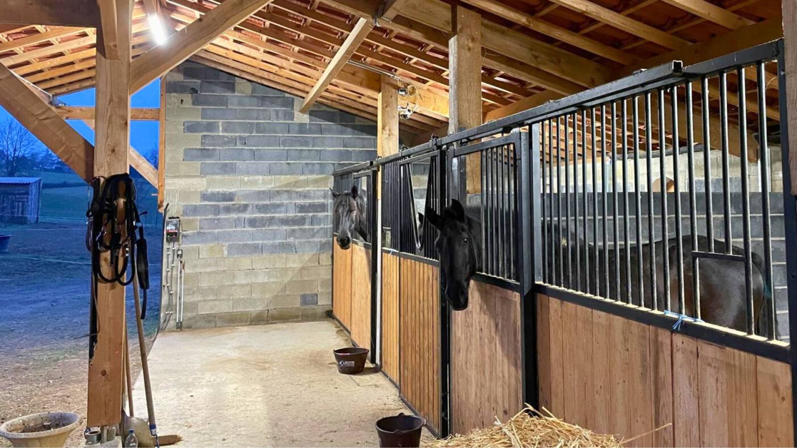 Propriété équestre alliant confort et fonctionnalité en Hautes-Pyrénées