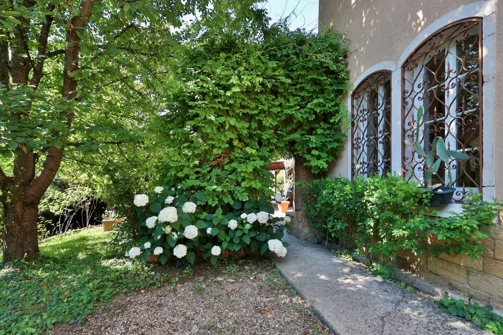 immobilier collonges