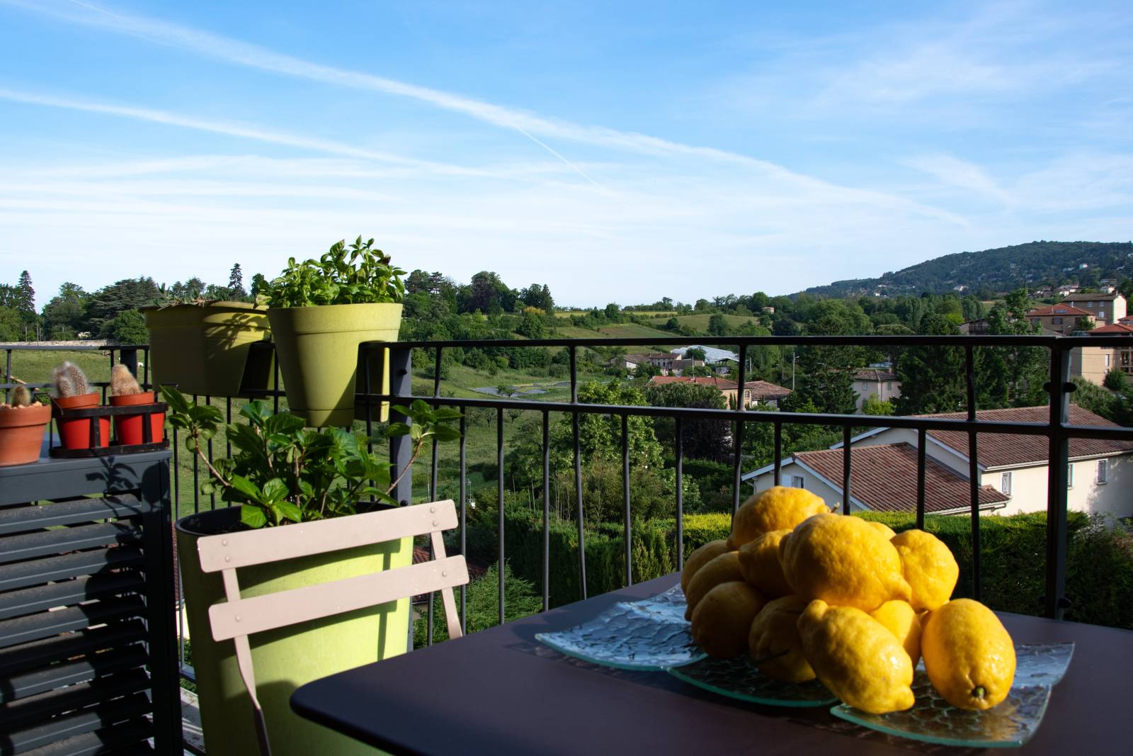 Appartement plein centre Saint-Didier-au-Mont-d'Or avec terrasse et vue