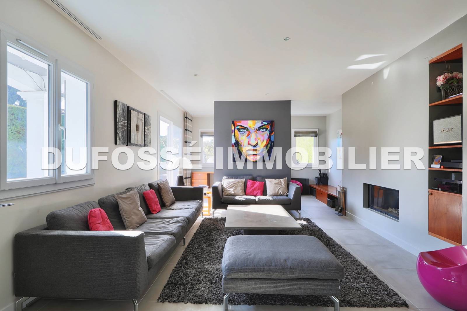 salon avec cheminée foyer fermé