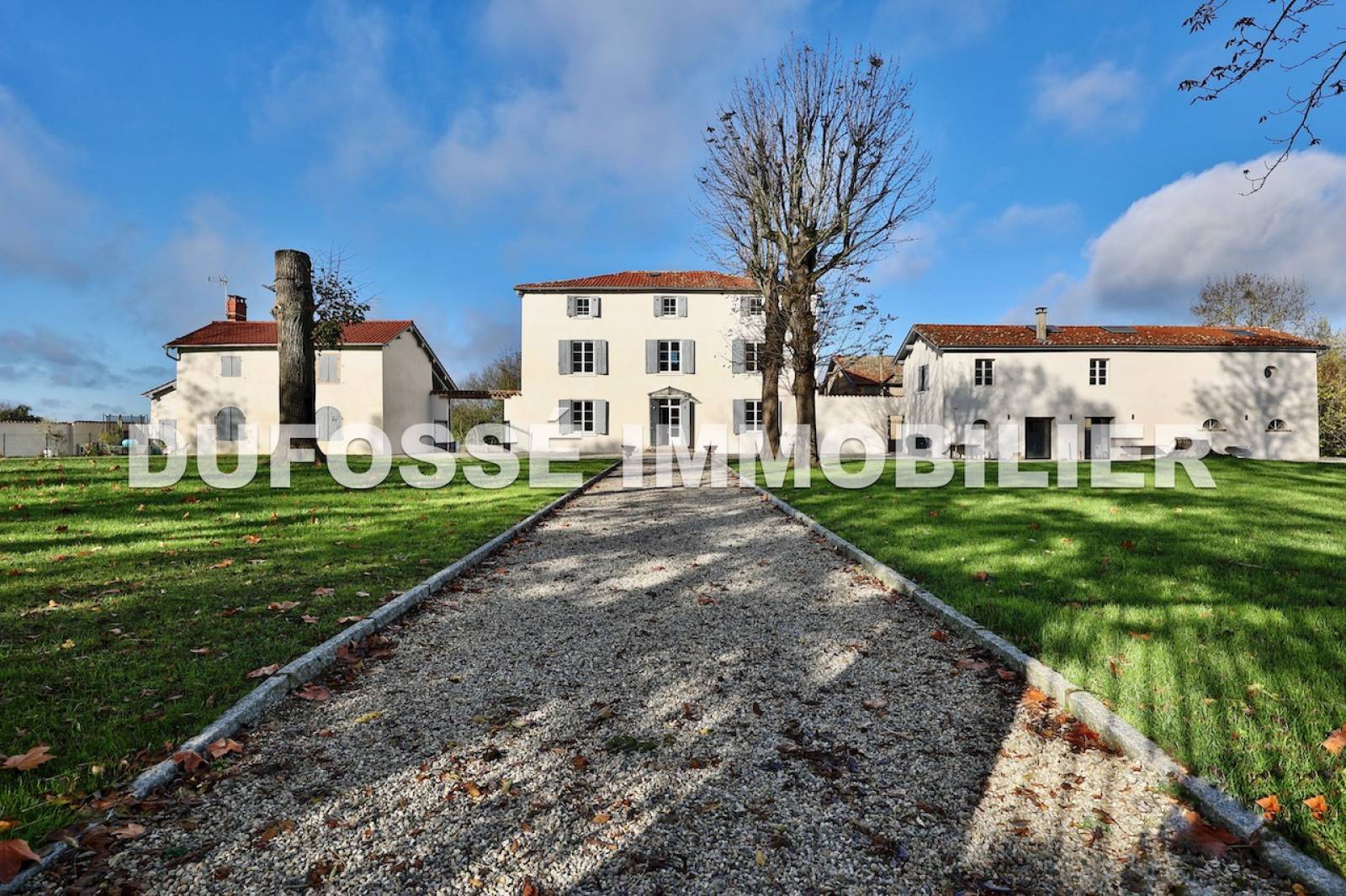 Château au sein d'un domaine de plus de 18 hectares. Saint-Marcel-en-Dombes La Dombes domaine dans les dombes