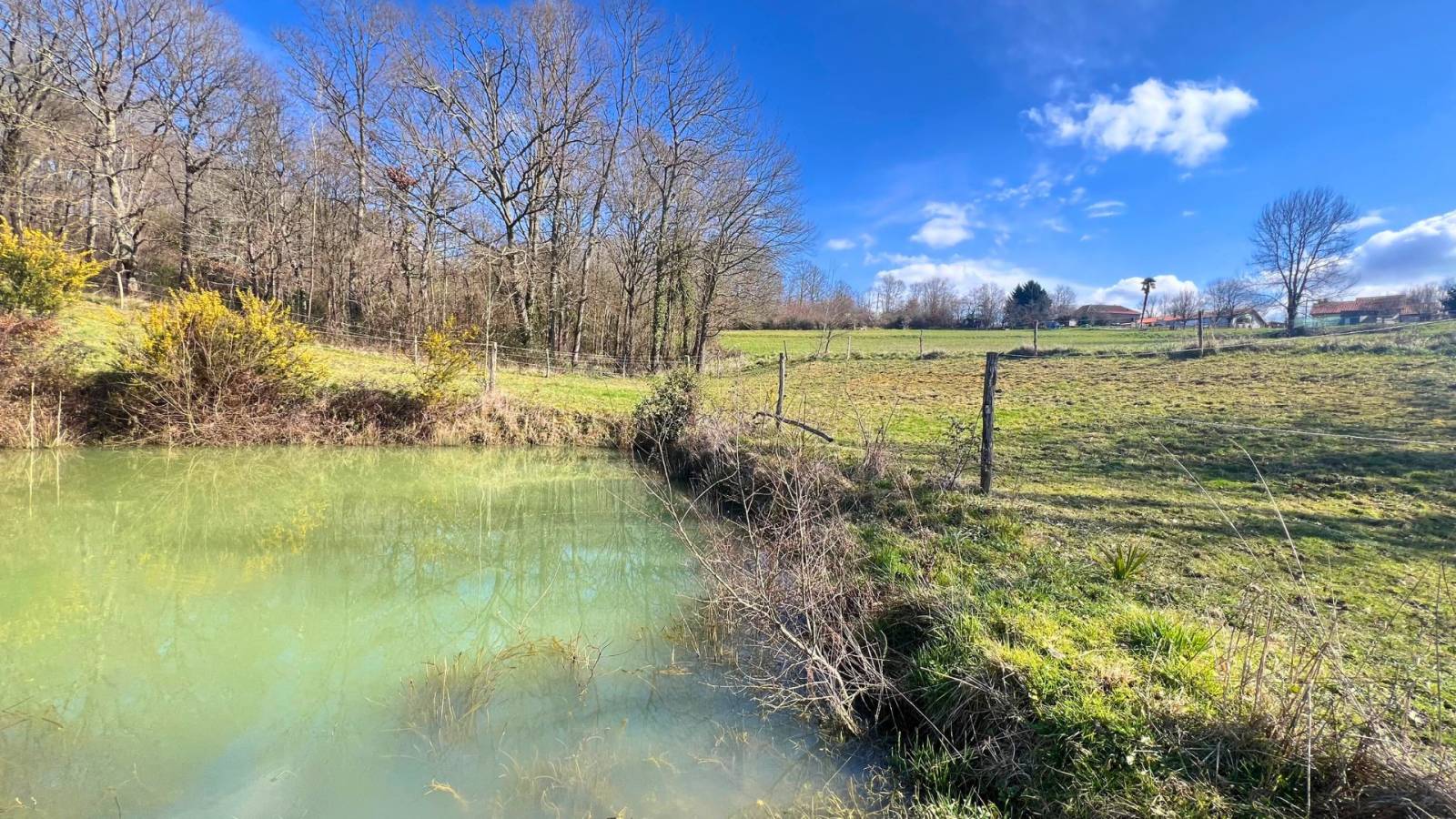 Propriété équestre alliant confort et fonctionnalité en Hautes-Pyrénées