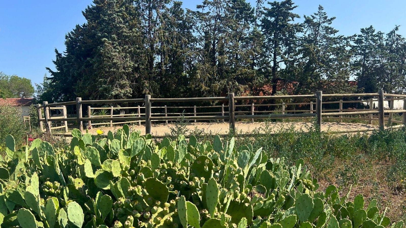 Structure équestre à vendre dans le Gard