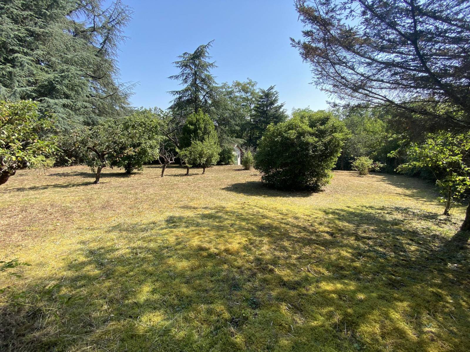 terrain ensoleillé sur tassin le bourg 