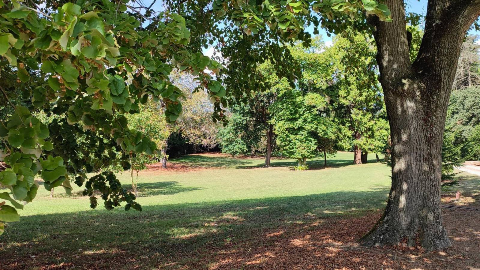 terrain fontaine sur saone avec vue et piscine 