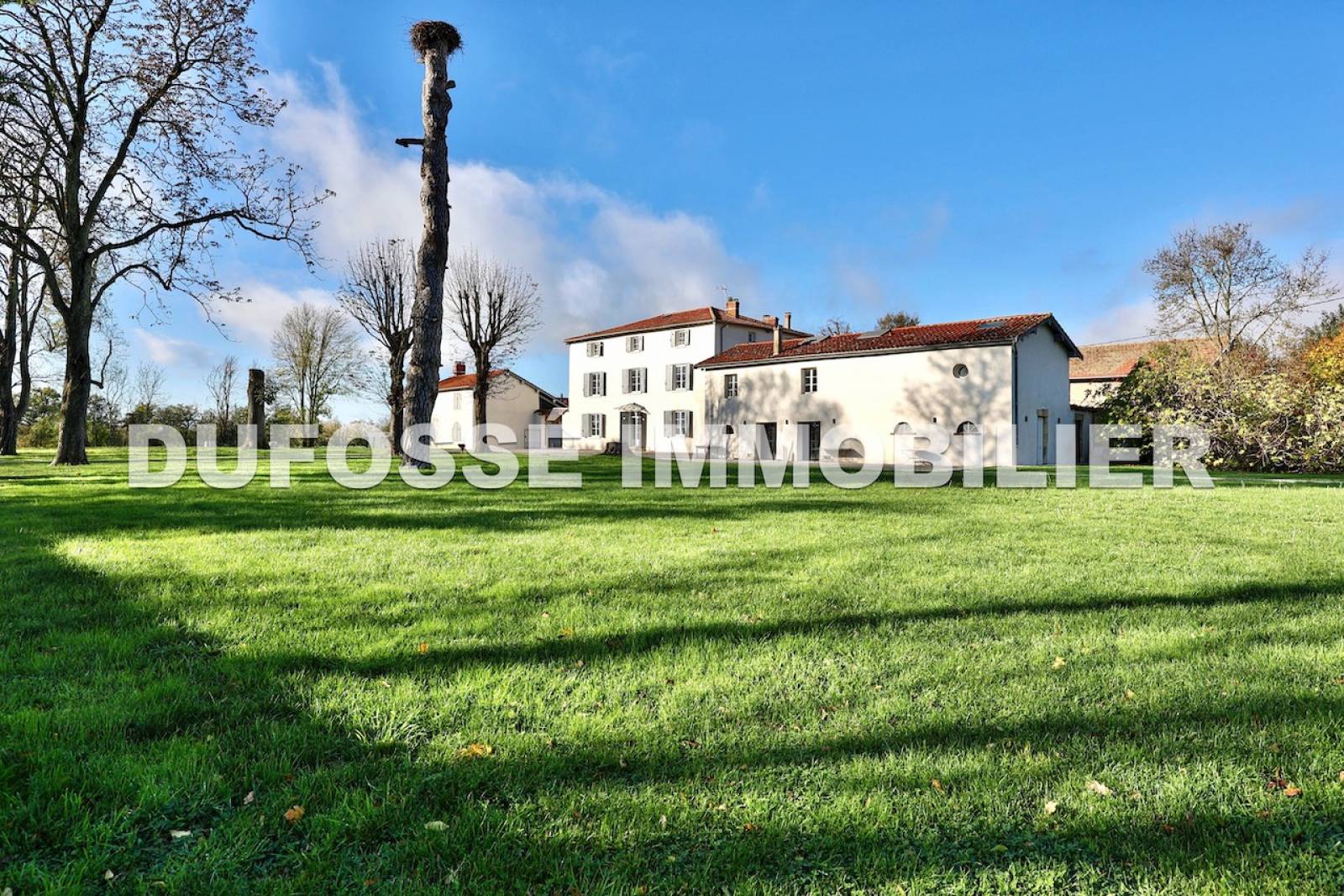 Château au sein d'un domaine de plus de 18 hectares. Saint-Marcel-en-Dombes La Dombes domaine dans les dombes