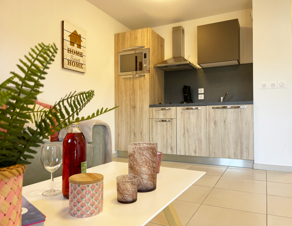 Studio balcon meublé a la joue du loup dans le devoluy