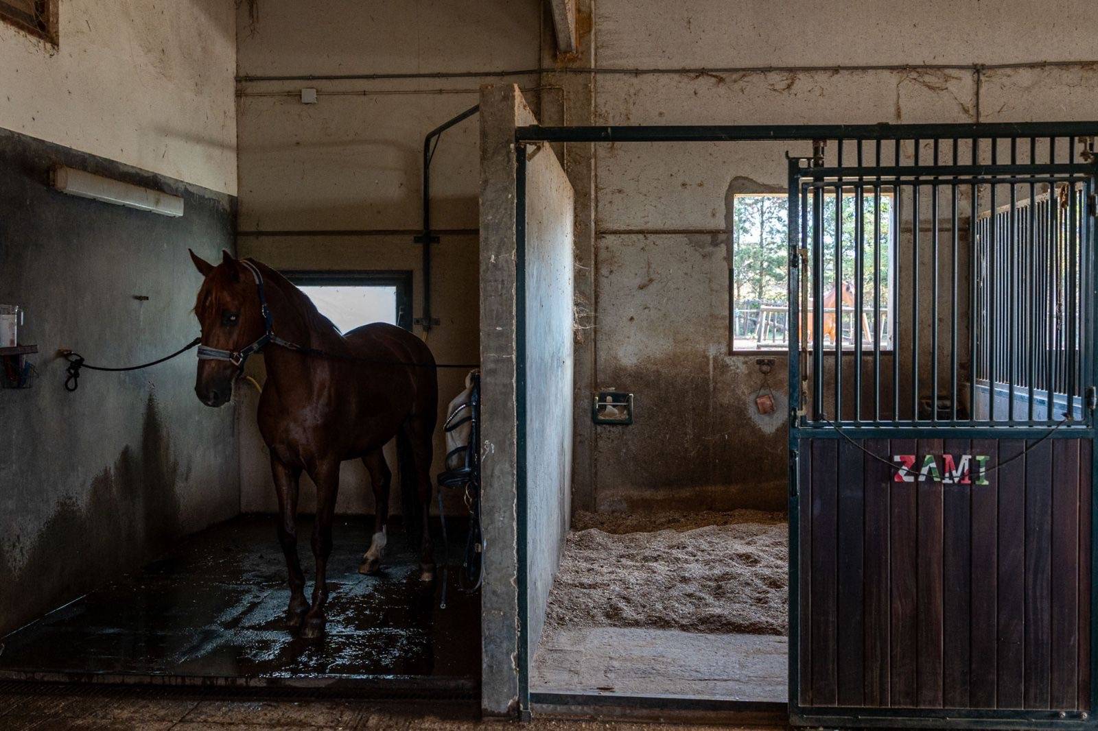 Espagne : Finca clé en main de 3,5 hectares