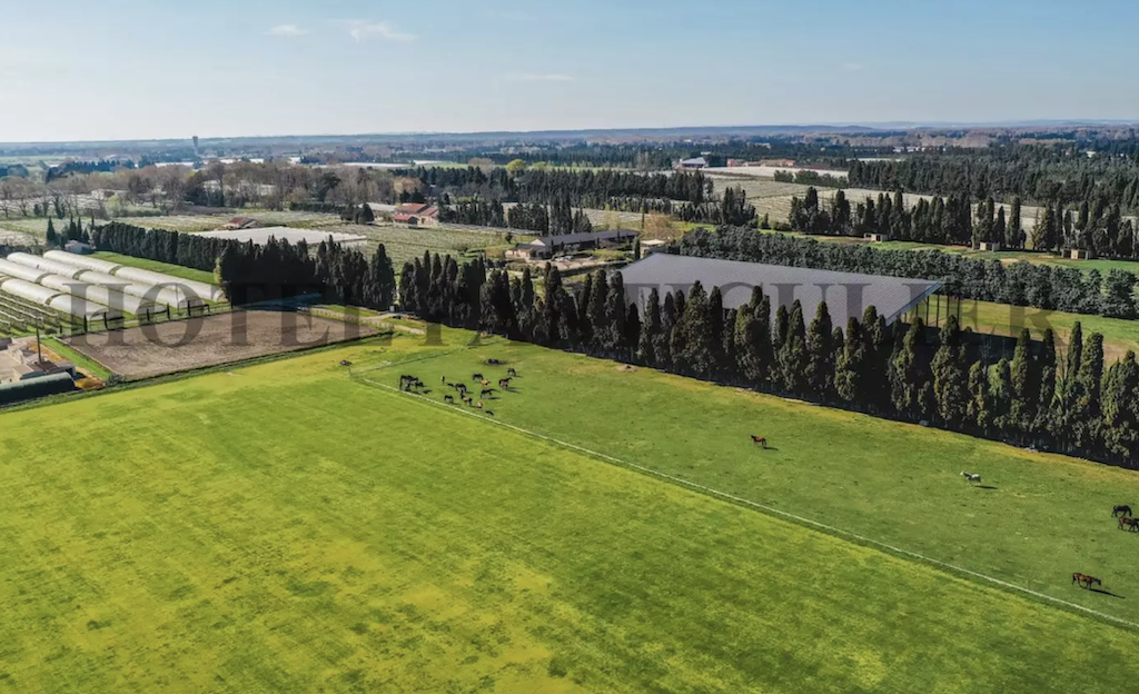 Saint-Rémy-de-Provence Propriété au calme campagne à vendre Terrain de 4,5 hectares