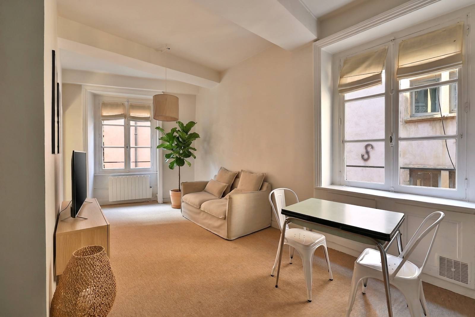 Appartement T2, 41m2, vue Saône