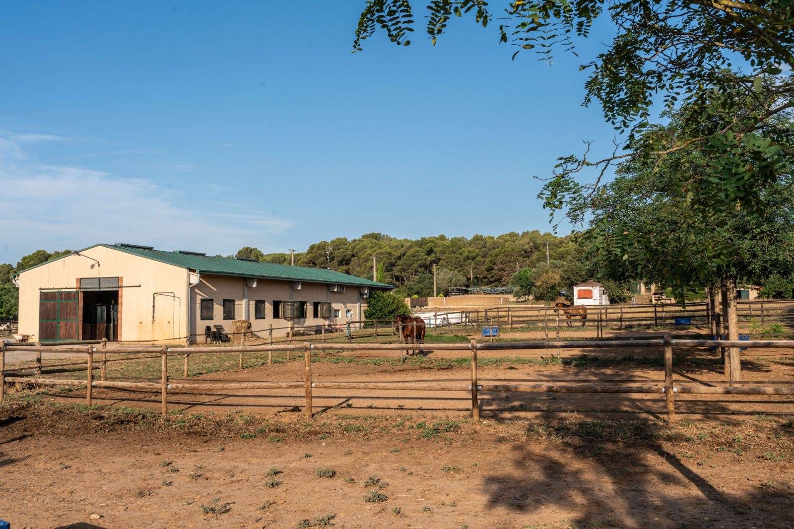 Espagne : Finca clé en main de 3,5 hectares