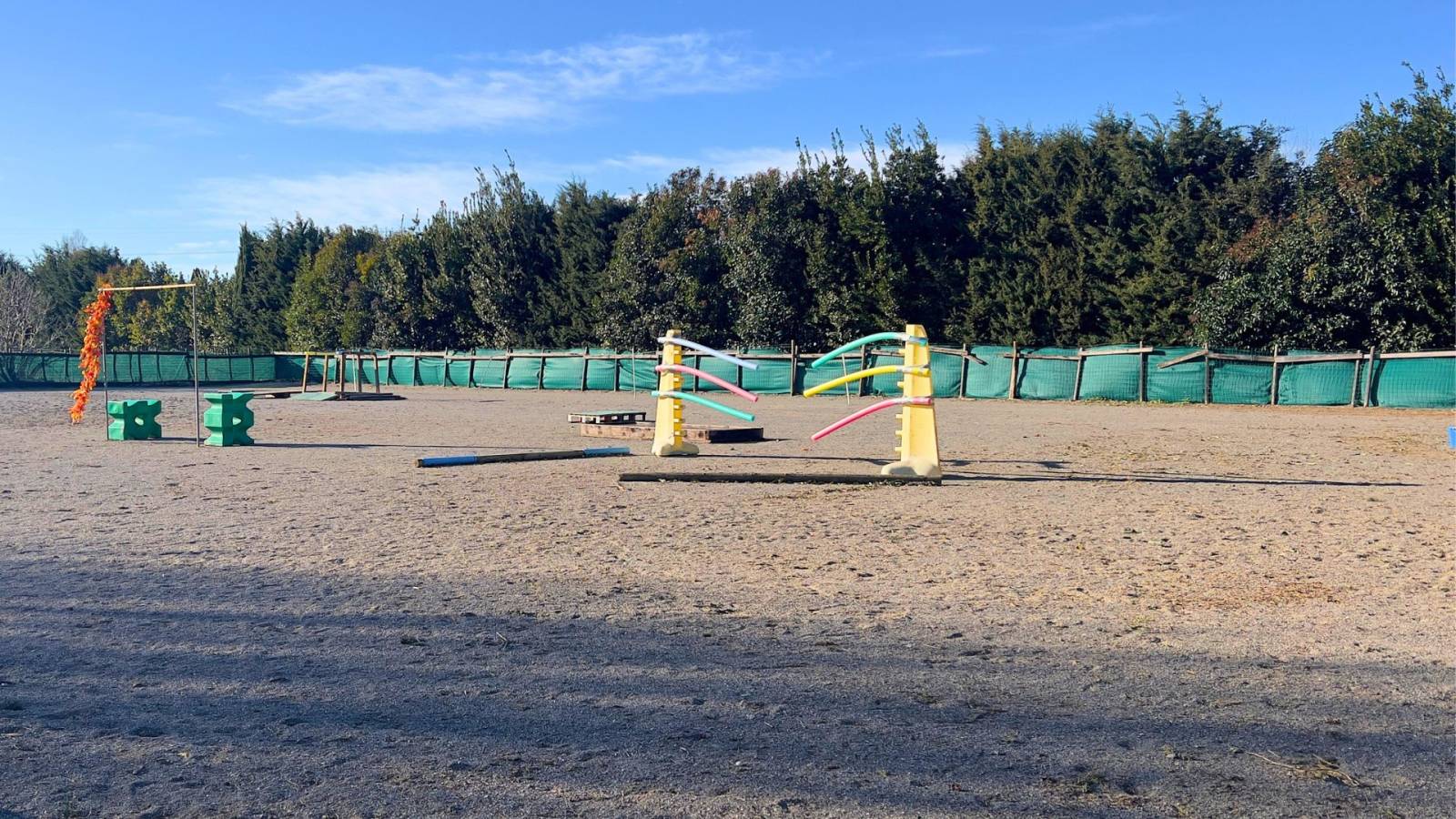 Mas provençal de caractère avec installations équestres - Alpilles