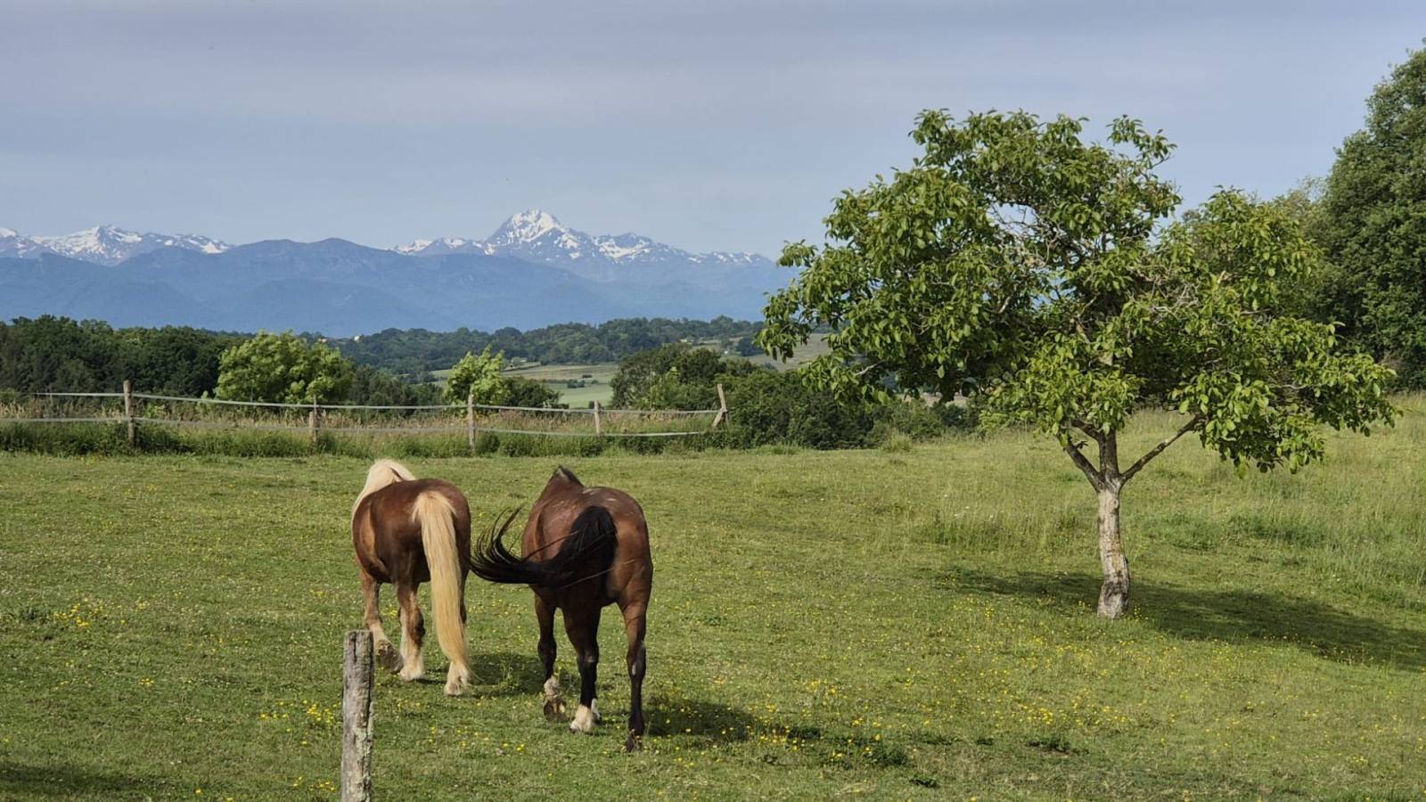 Haute-Garonne : propriété d’exception de 22 hectares au pied des Pyrénées