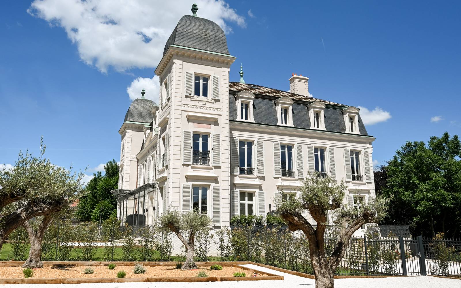 Appartement T4 aux prestations haut de gamme Saint-Cyr-au-Mont-d'Or  avec terrasse et jardin dans château d'exception