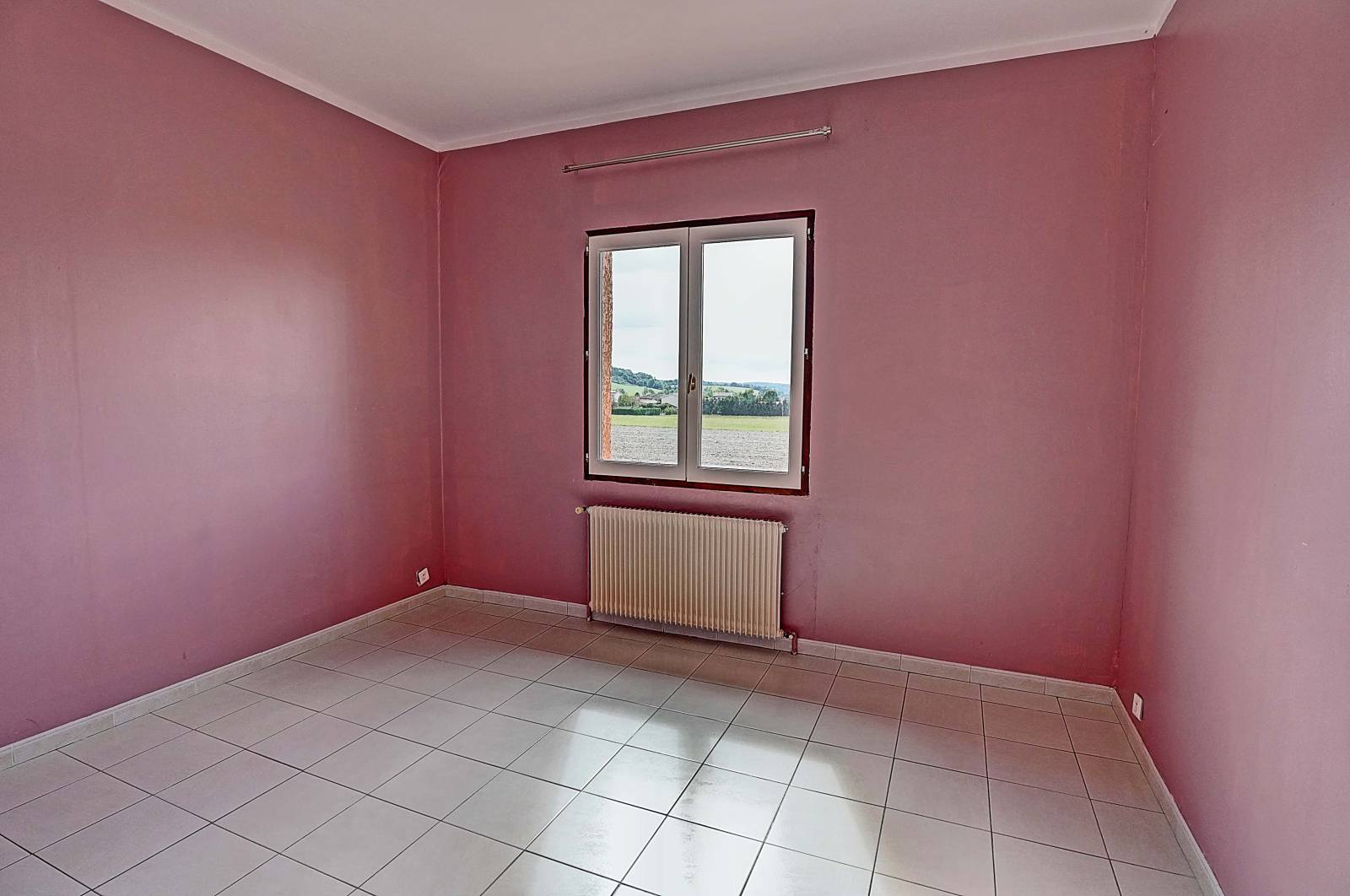 Bien rare à Diemoz ,grande maison de caractère avec extérieur
