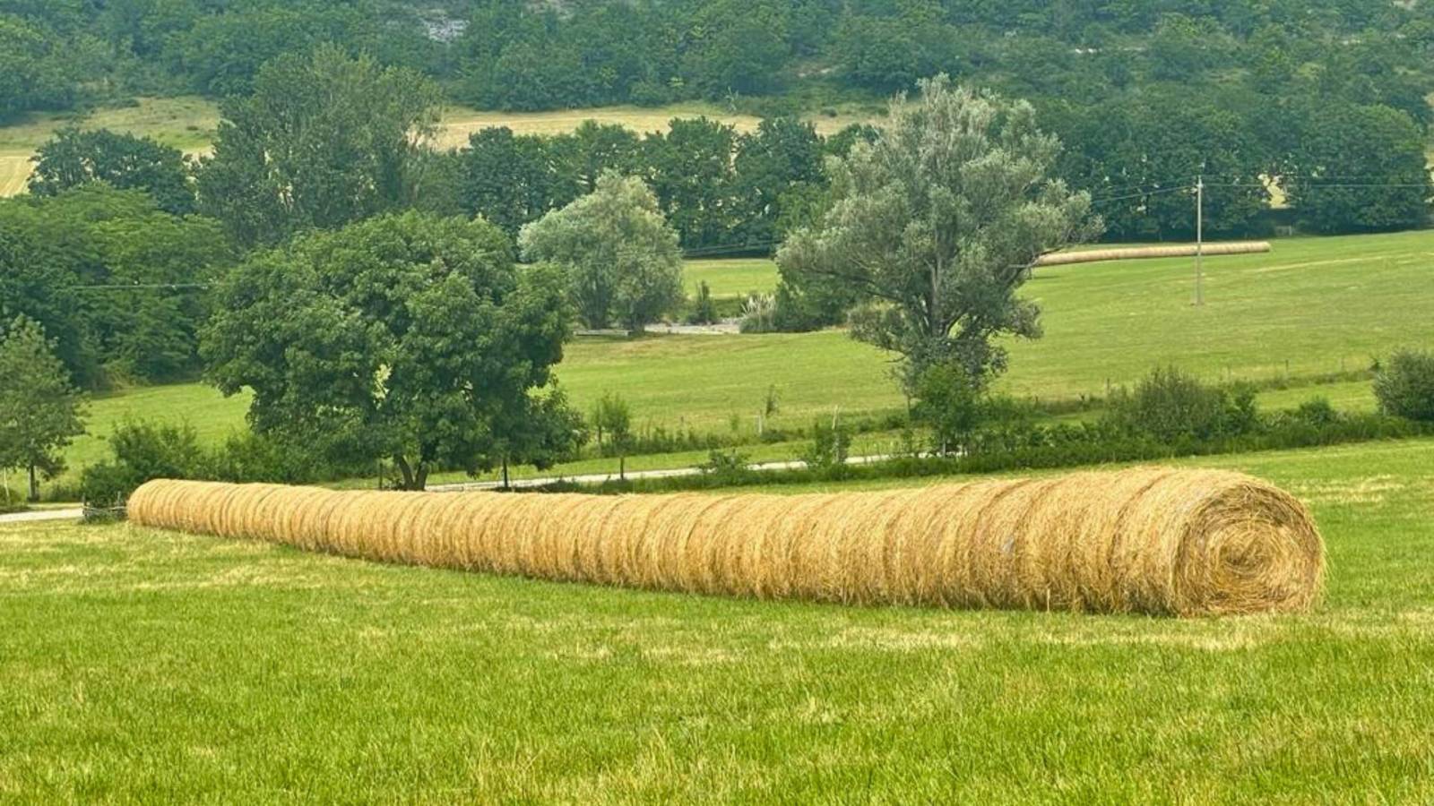 Domaine équestre de charme sur 40 hectares au coeur du Lot-et-Garonne