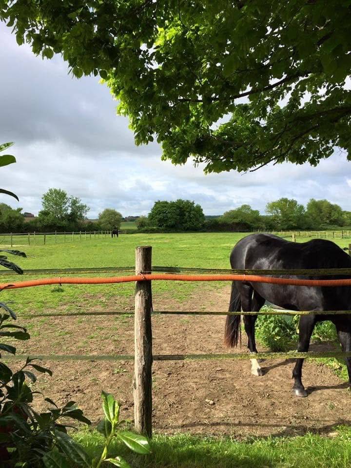Propriété rurale en Normandie