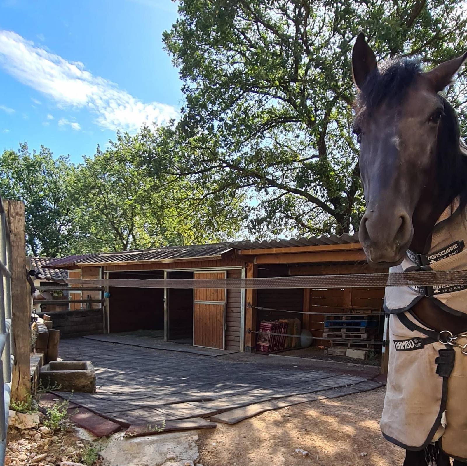 Ravissante propriété équestre de 2 hectares située dans le Haut-Var