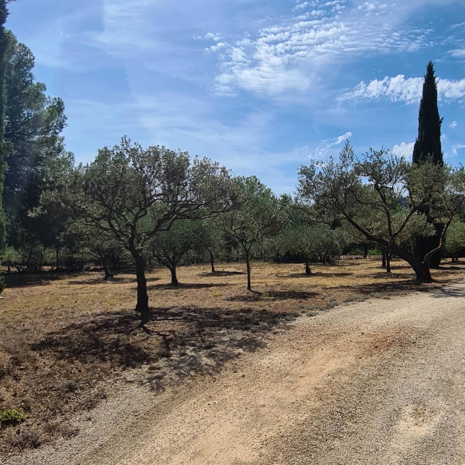 Ravissante propriété équestre de 2 hectares située dans le Haut-Var