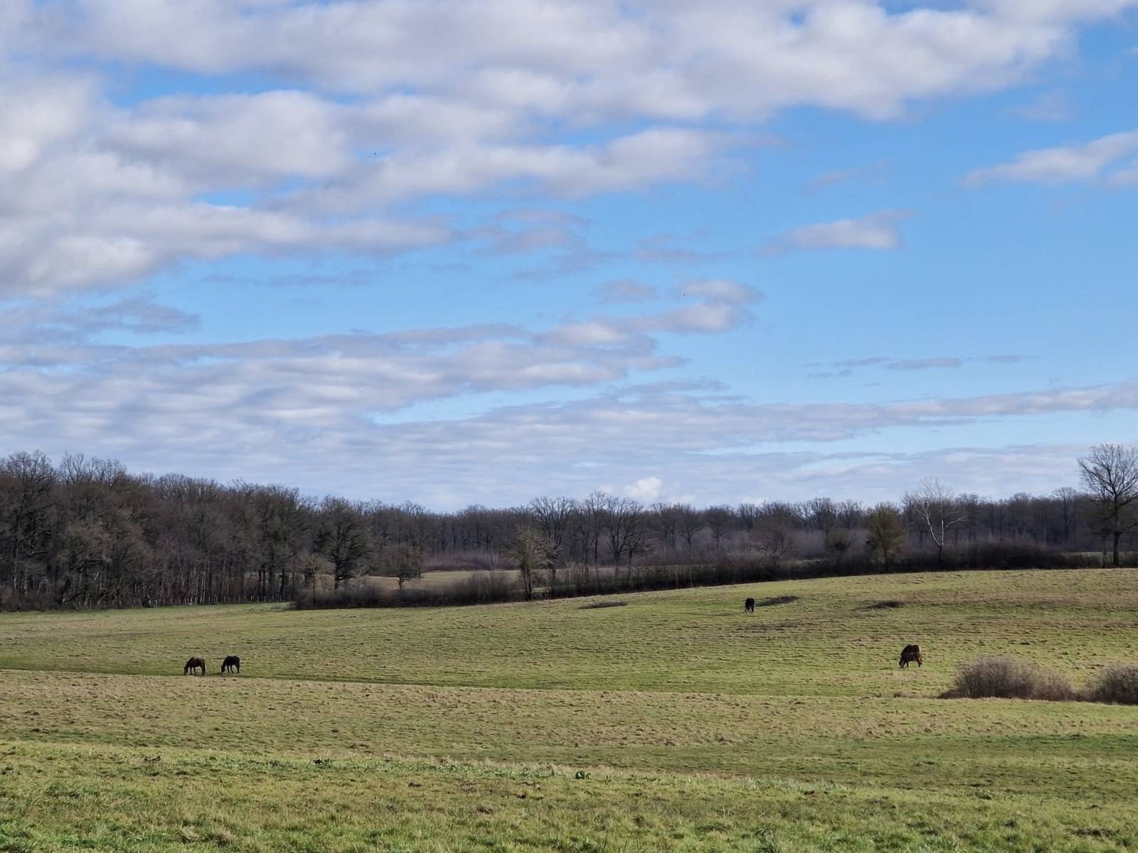 Haras d'élevage d'exception niché au sein d'un domaine sécurisé de 39 hectares situé en Bourgogne du Sud