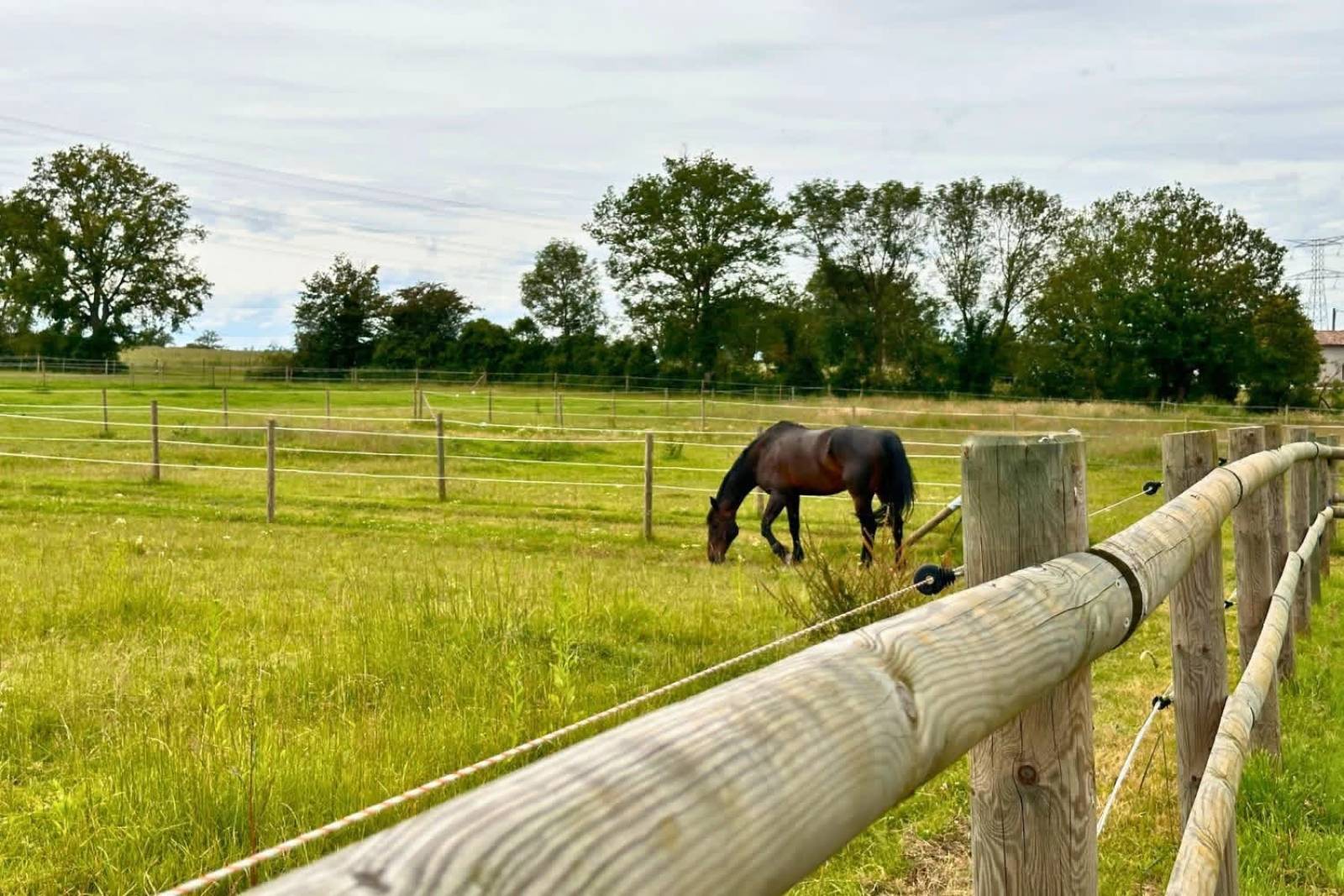 Ain - Charmante propriété équestre clé en main de 3,9 hectares