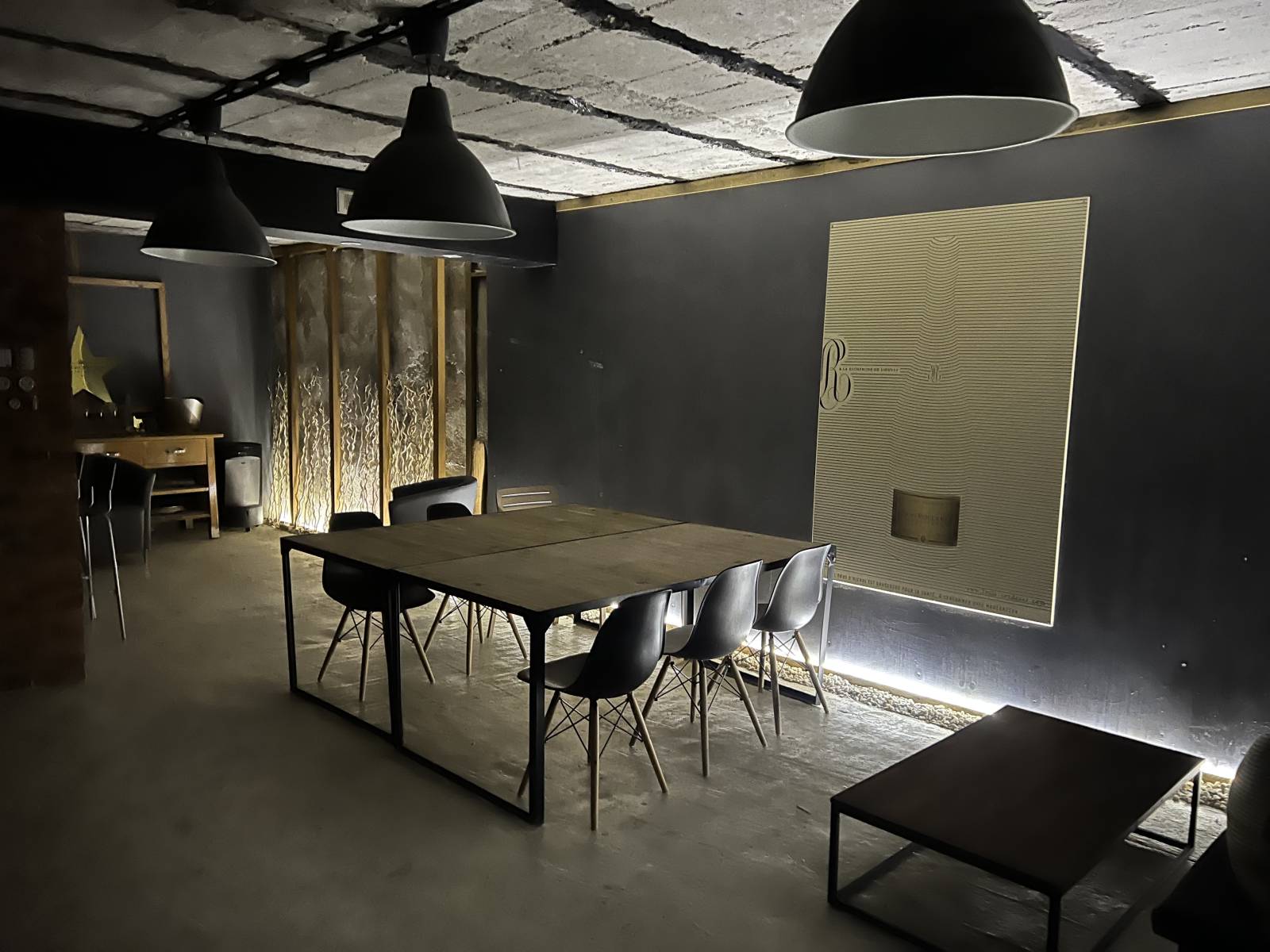 Villeurbanne, RARE maison/appartement atypique, avec patio et piscine chauffée, 4 chambres, grand sous-sol, au calme et au coeur de toutes les commodités