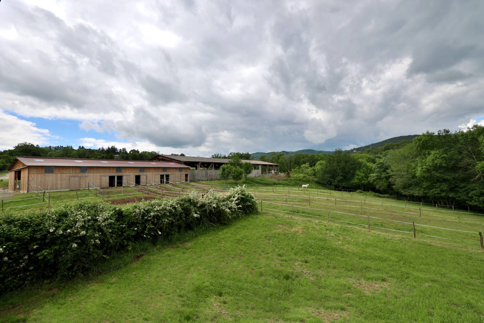 Aux portes de Lyon : Propriété équestre clé en main de 8 hectares