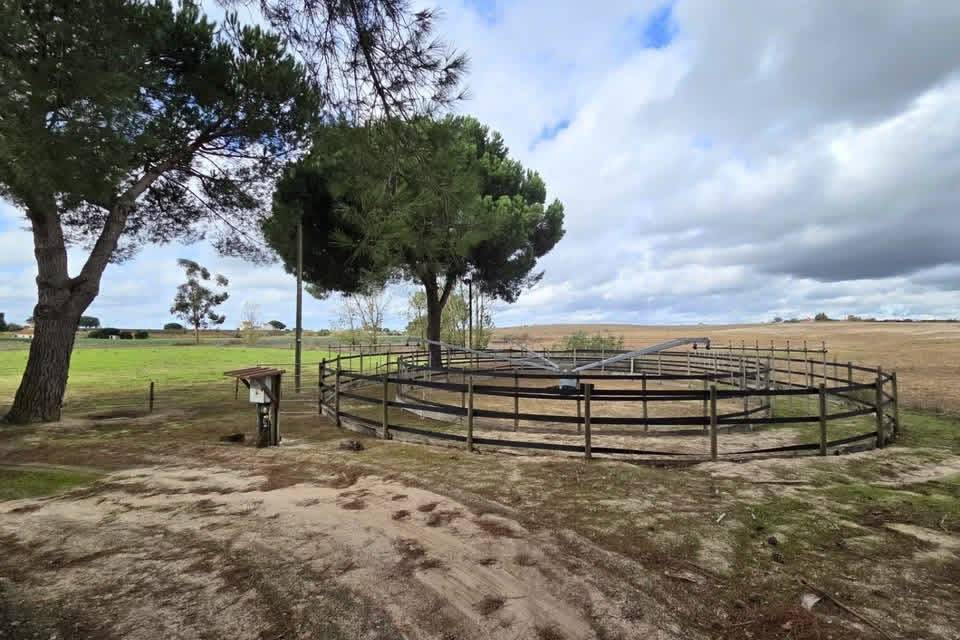 Portugal : Quinta équestre de 6,3 hectares