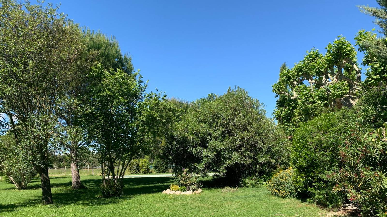 Mas provençal de caractère avec installations équestres - Alpilles