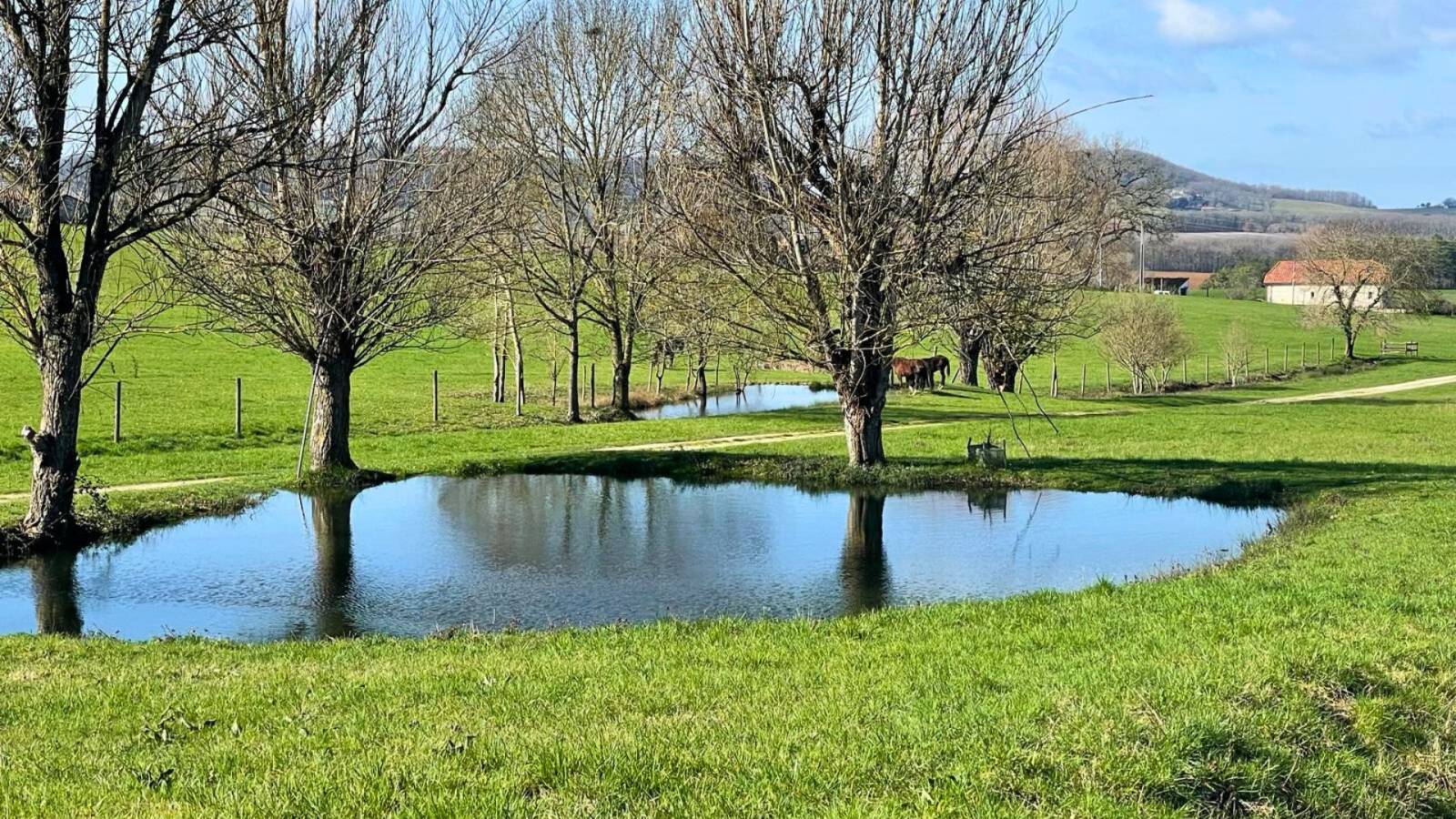 Domaine équestre de charme sur 40 hectares au coeur du Lot-et-Garonne