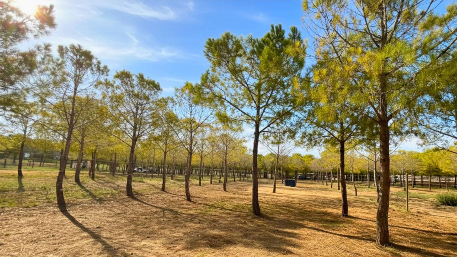 Hérault : propriété équestre rare sur 4,5 hectares