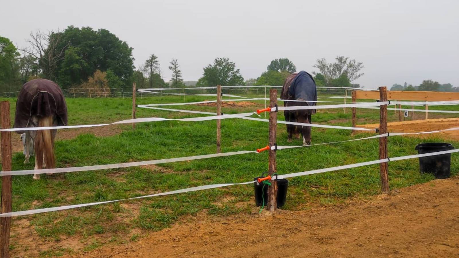 Propriété équestre de charme au cœur des Landes