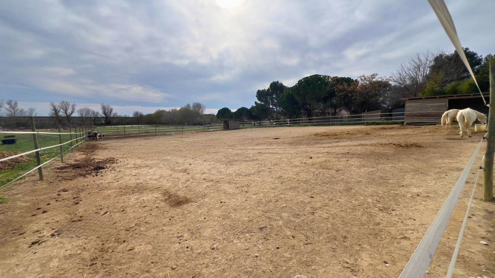 Propriété équestre Hérault 