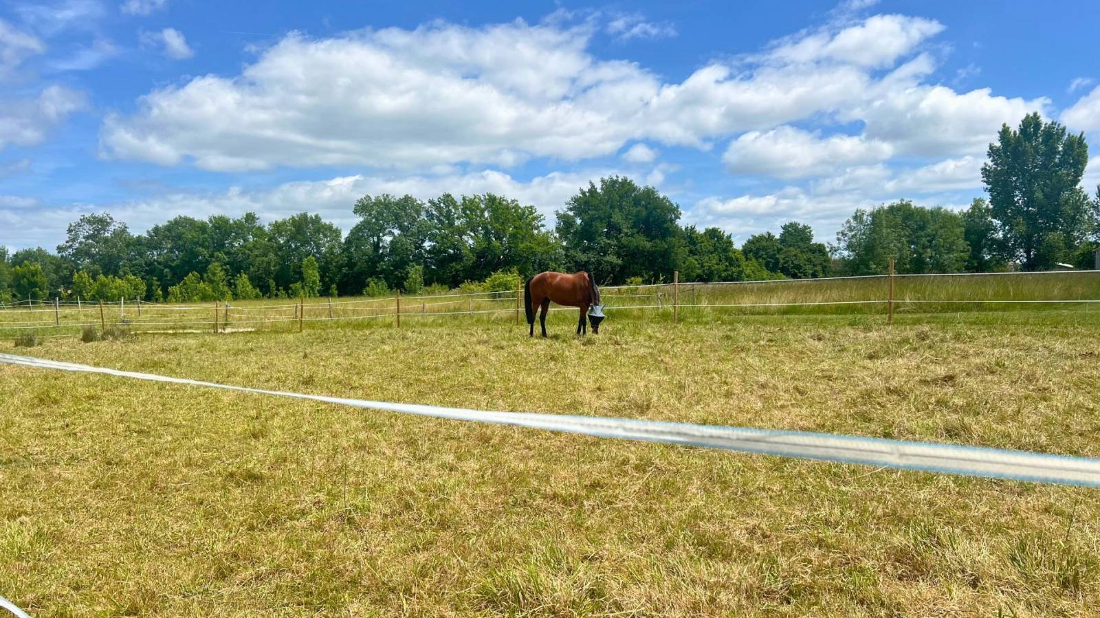 Propriété équestre à vendre 