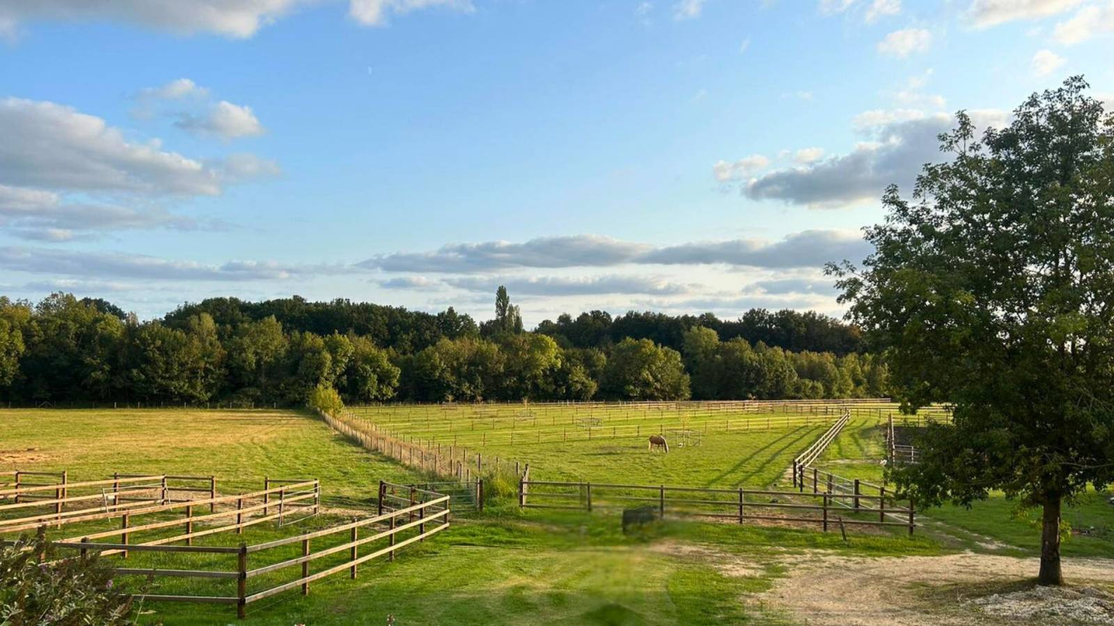 Lot-et-Garonne :  Propriété équestre d’exception de 23 hectares