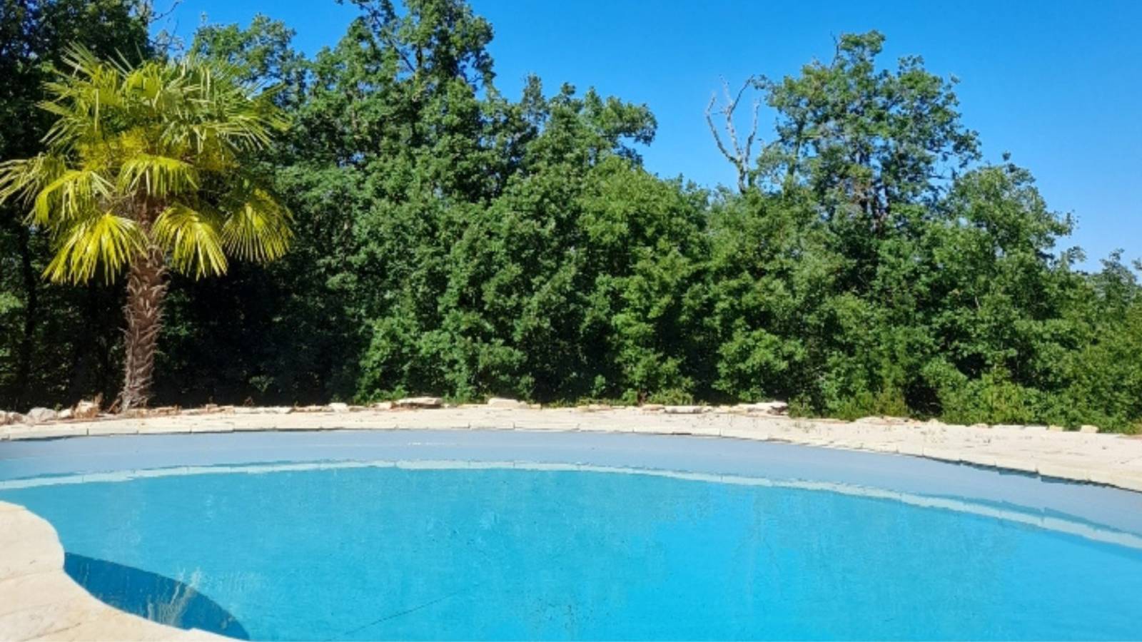 Cahors, belle Villa 4 chambres agrémentée d'une piscine nichée au coeur d'un parc boisé