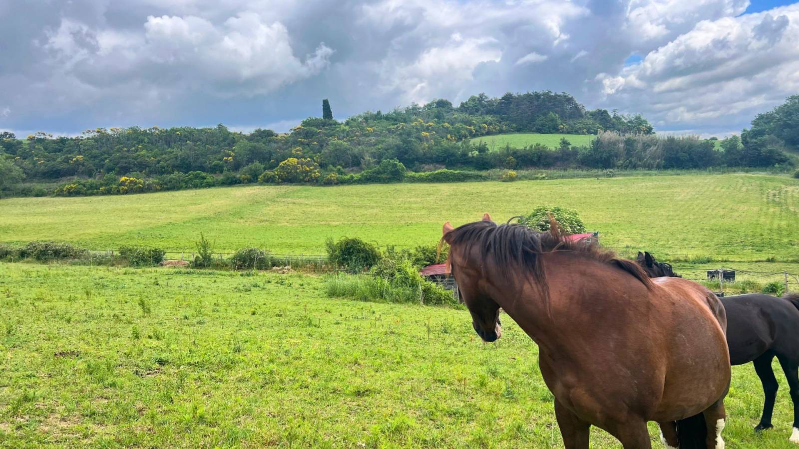 Propriété équestre de 6,3 hectares au cœur de l’Aude