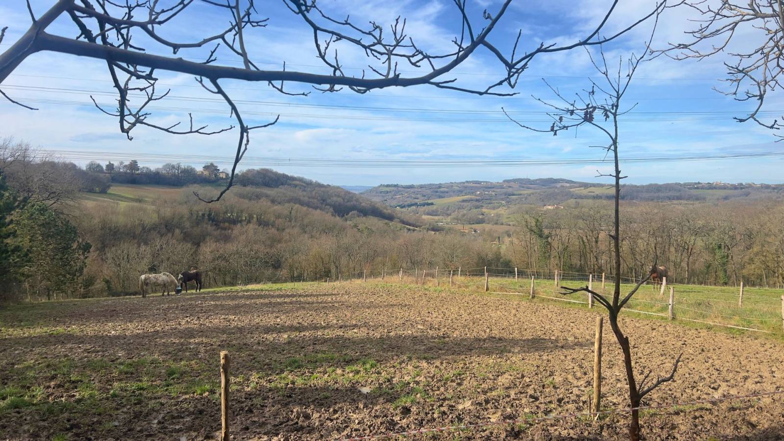 Propriété équestre en Lot-et-Garonne 