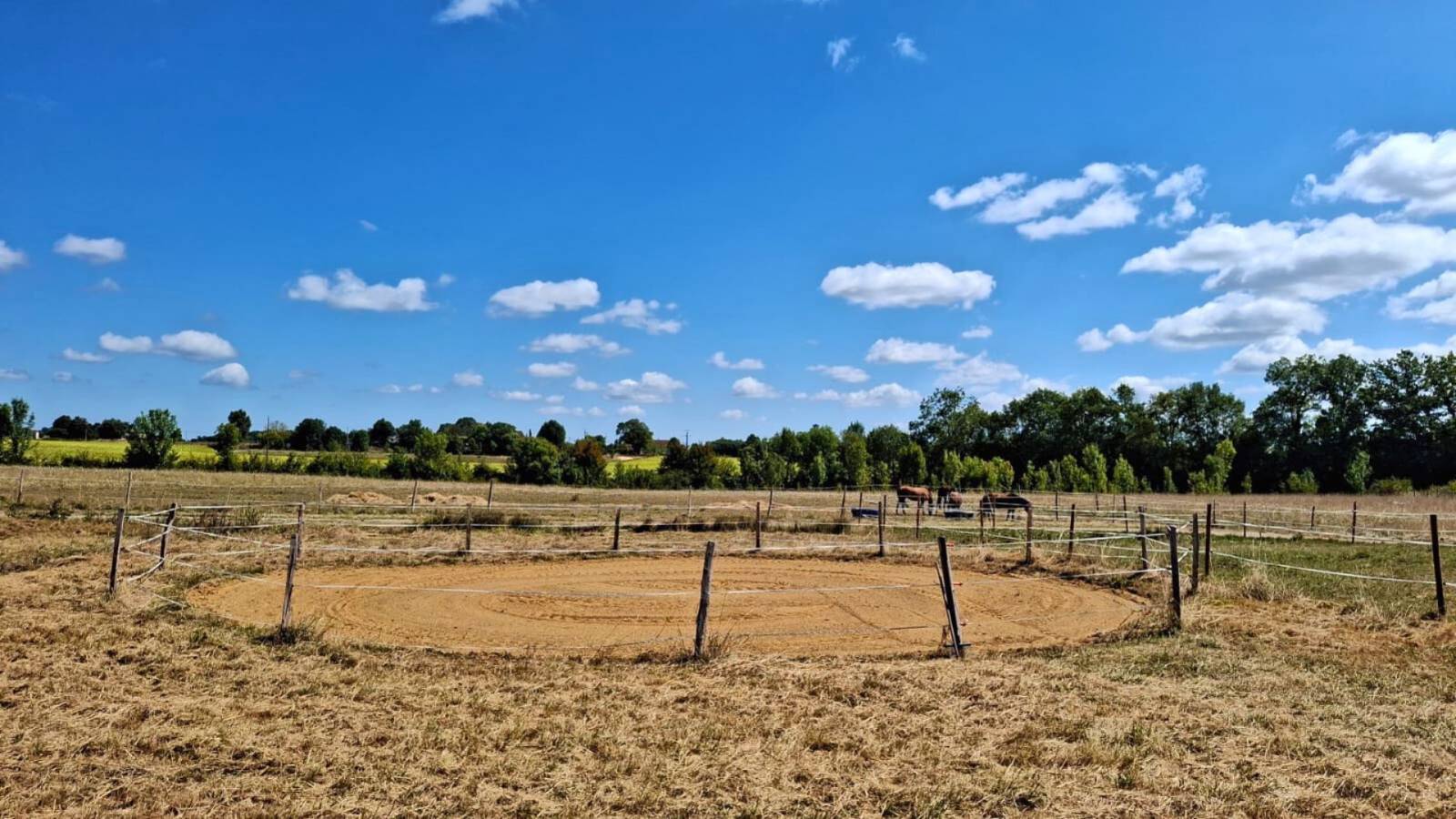 Structure équestre à vendre 