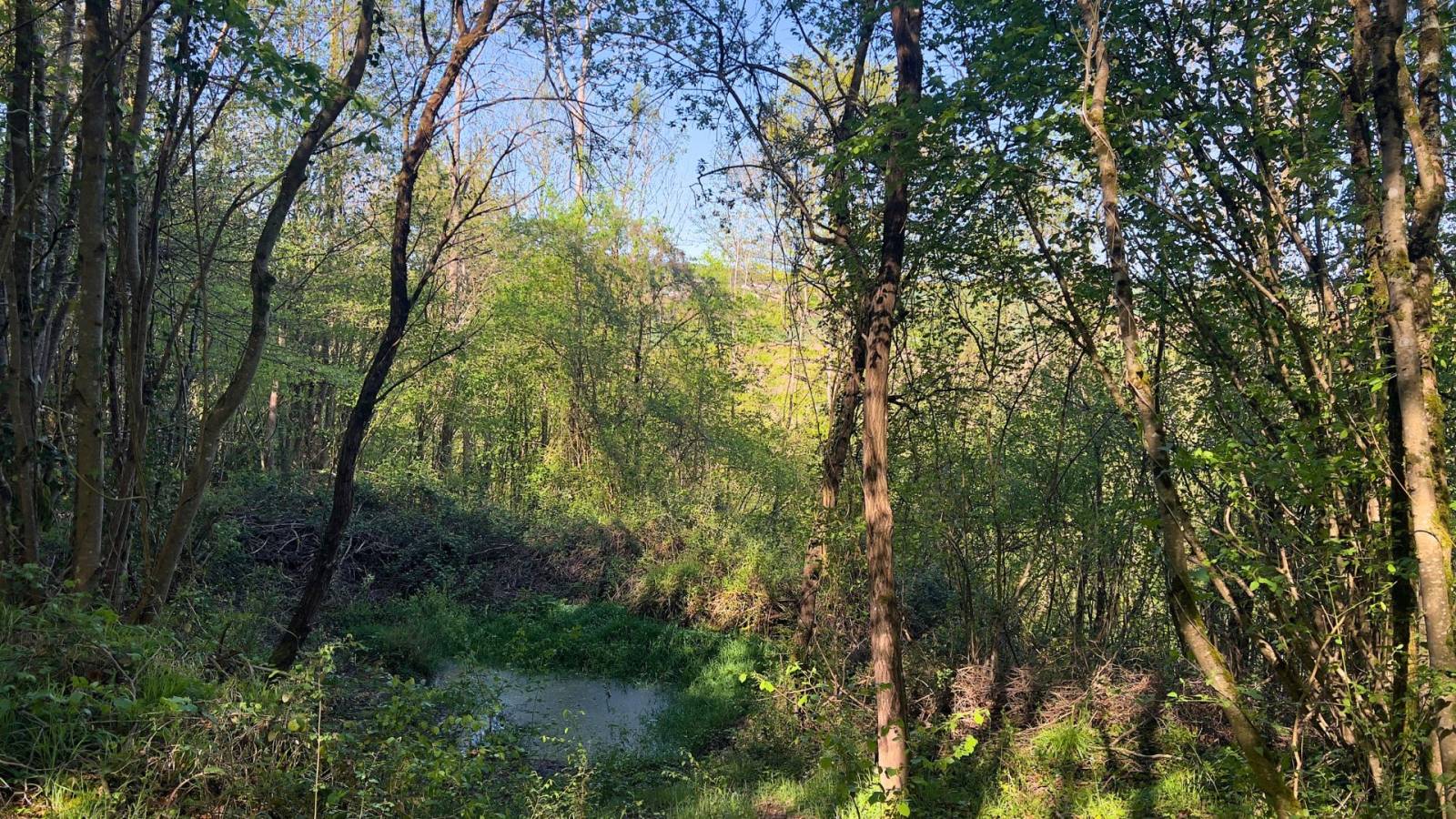 Haute-Garonne : propriété d’exception de 22 hectares au pied des Pyrénées