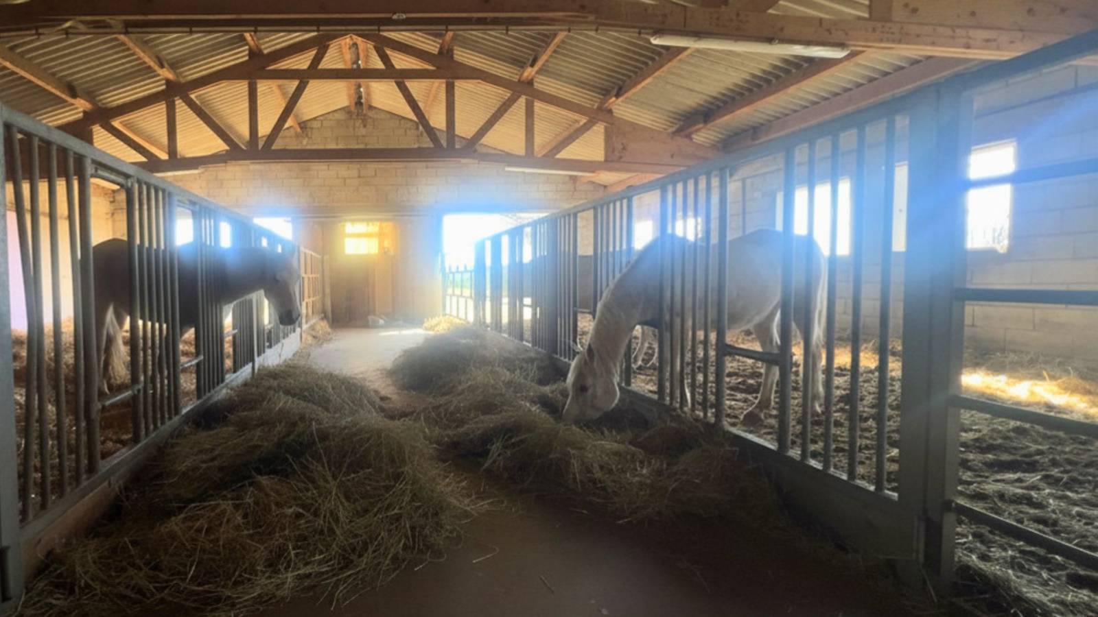 Propriété équestre avec habitations, gîtes et 6,5 hectares en Aveyron