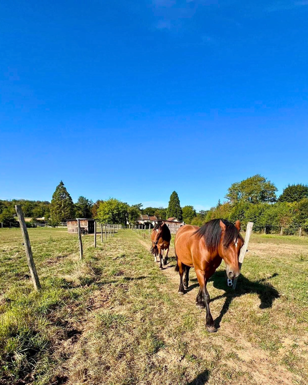 Propriété équestre de caractère de 2 hectares située dans l'Isère