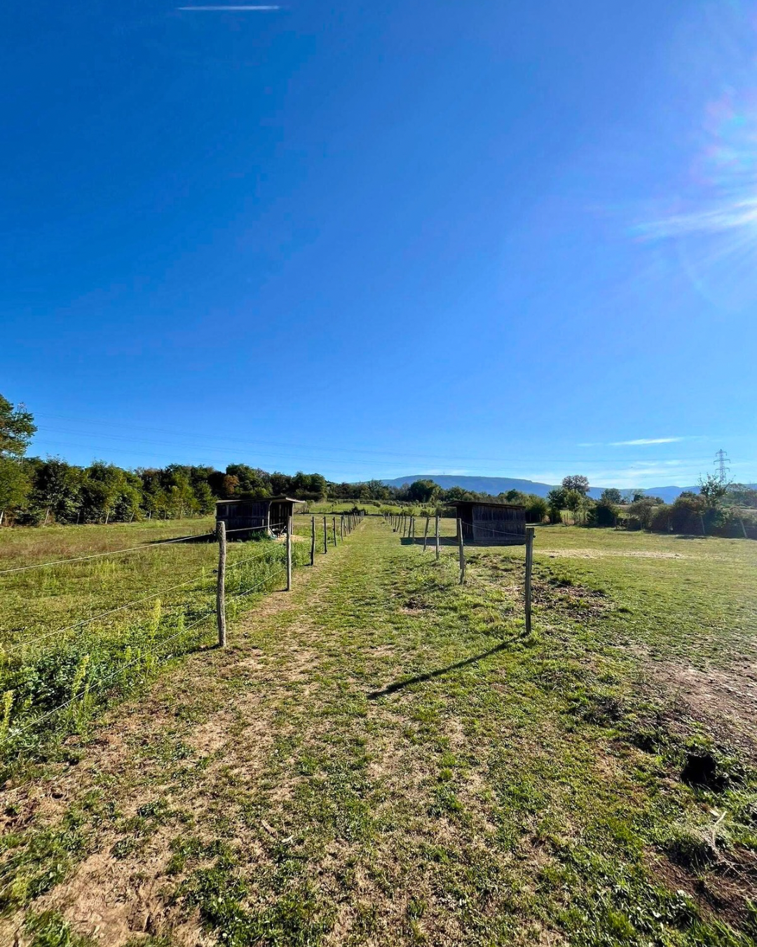 Propriété équestre de caractère de 2 hectares située dans l'Isère