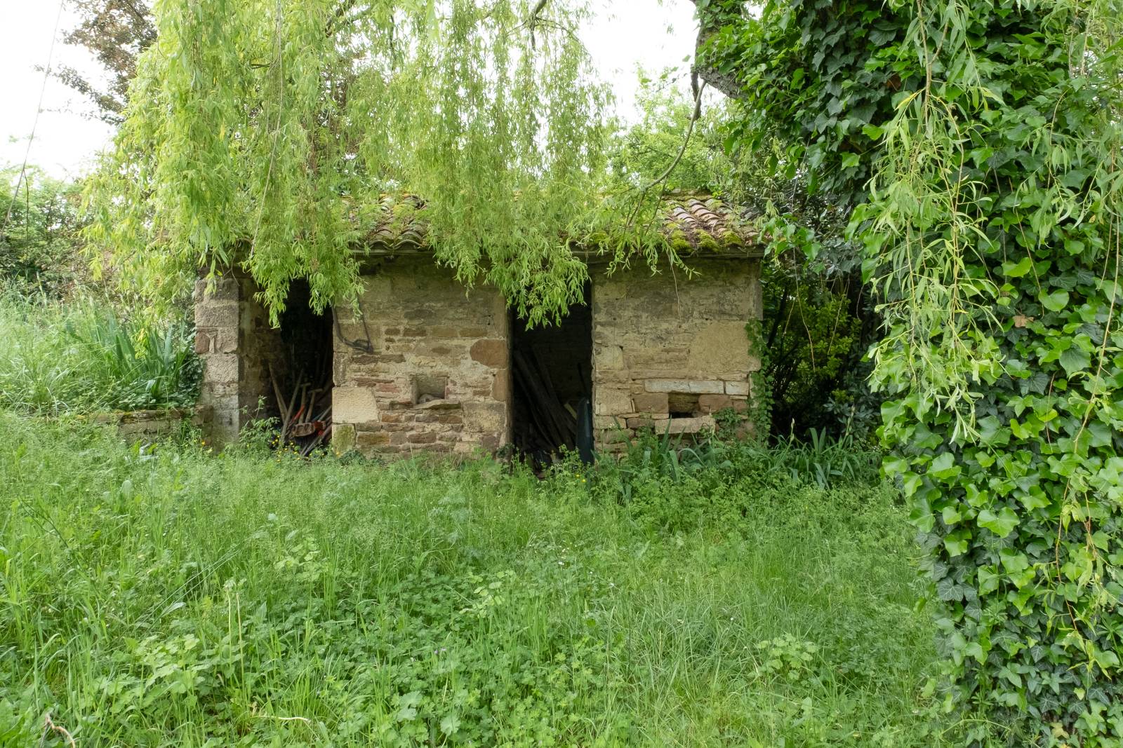 Jardin arboré dans commune de Pommiers
