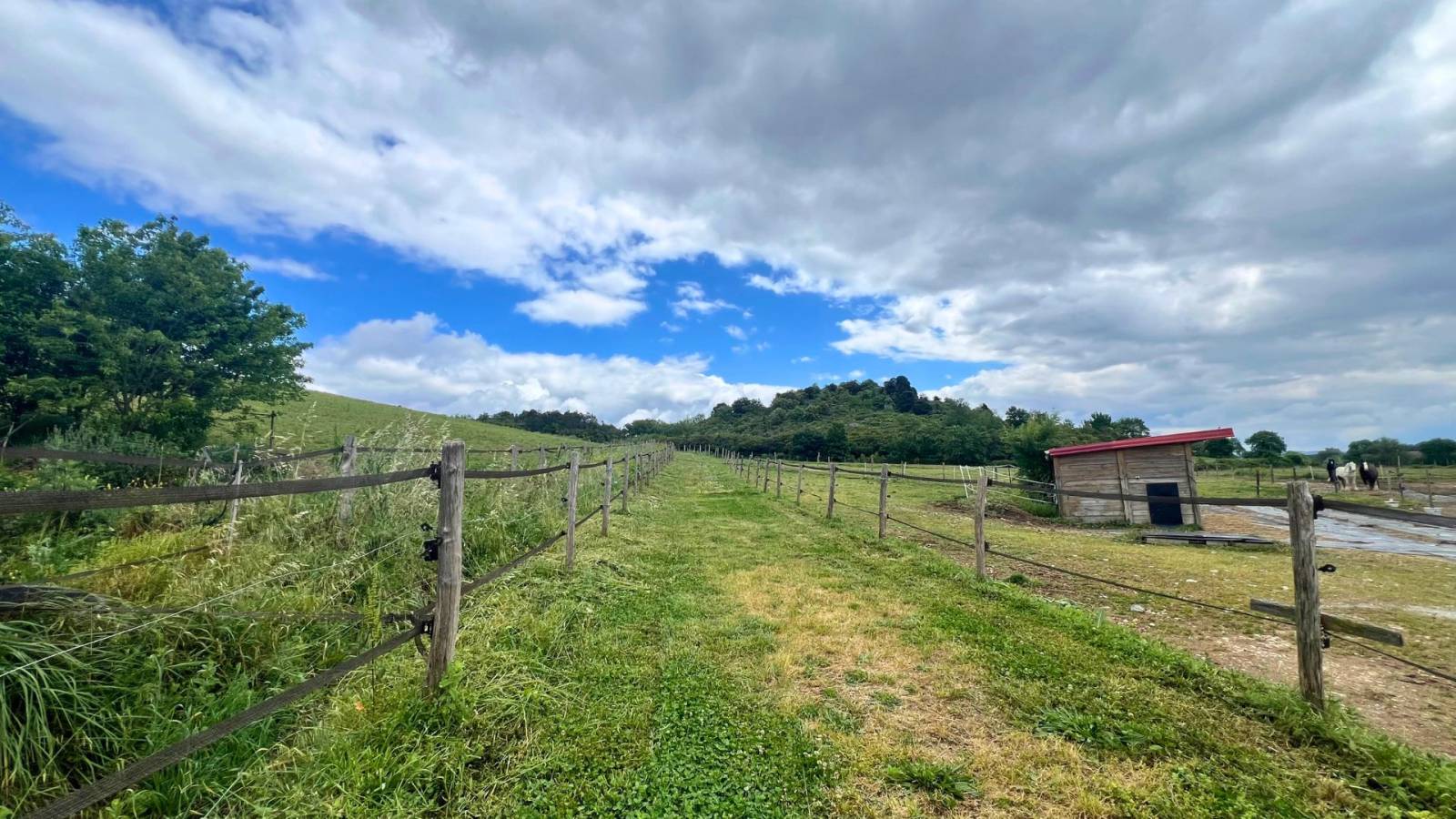 Propriété équestre de 6,3 hectares au cœur de l’Aude
